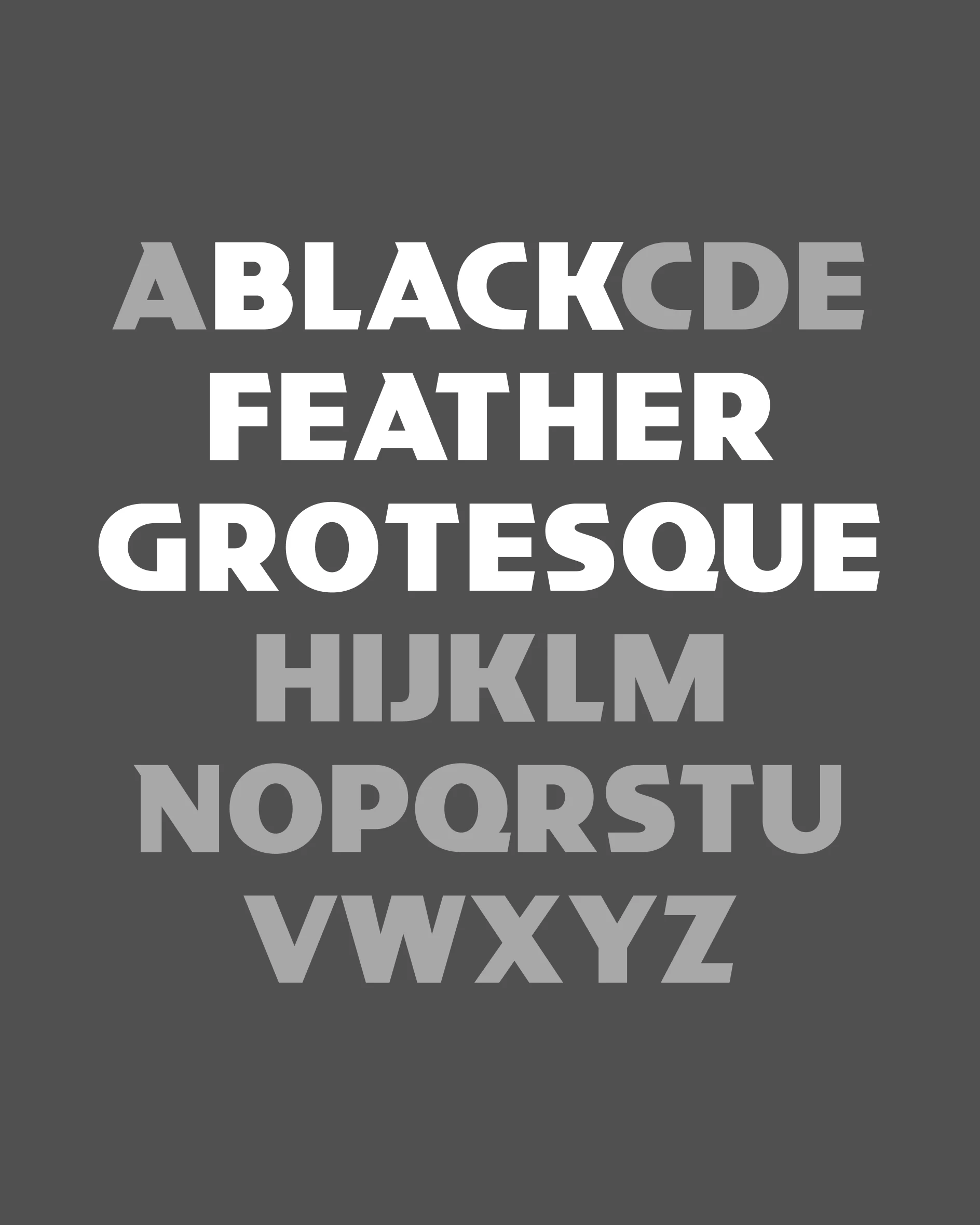 FK Feather Grotesque Black