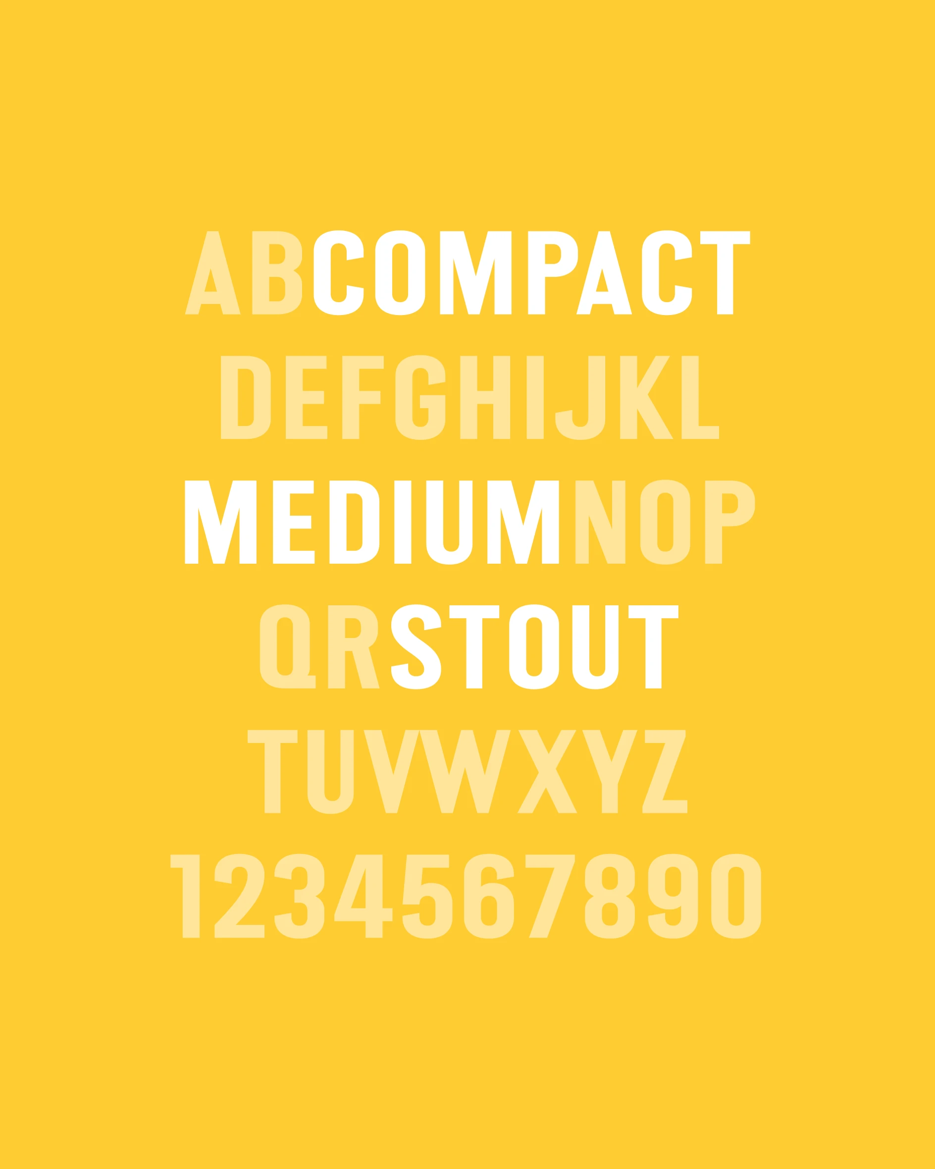 FK Stout Compact Medium